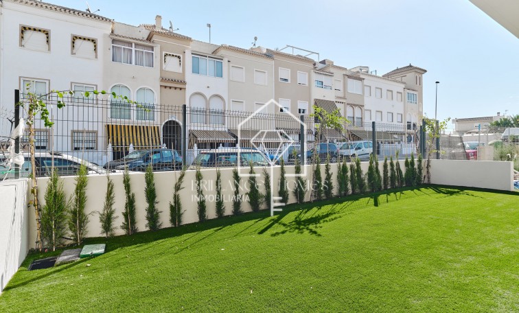 Obra nueva - Bungalows - Torrevieja - 03185