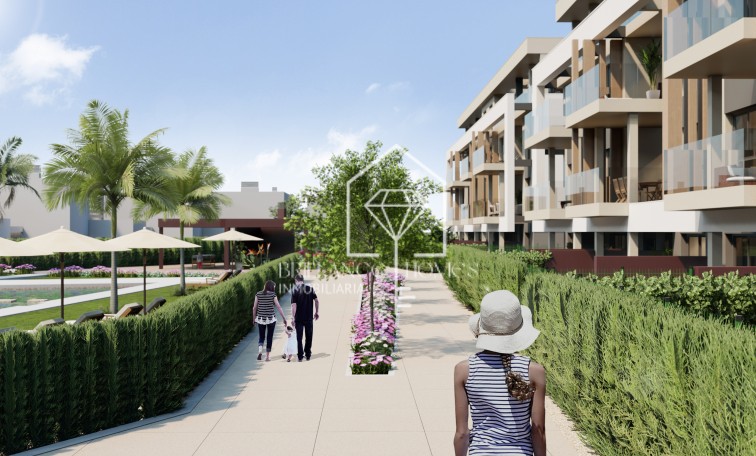 Obra nueva - Penthouses - Torre-Pacheco - 30710