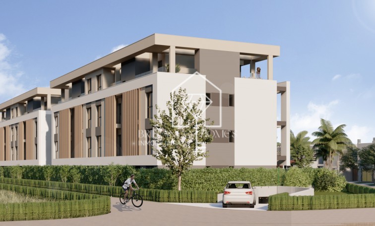 Obra nueva - Penthouses - Torre-Pacheco - 30710