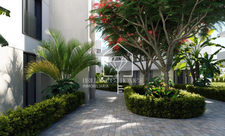 Obra nueva - Flats - Torre-Pacheco - 30710