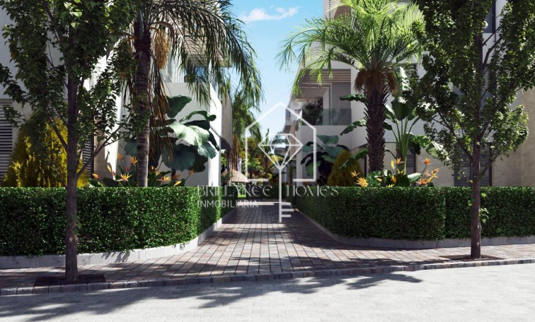 Obra nueva - Flats - Torre-Pacheco - 30710