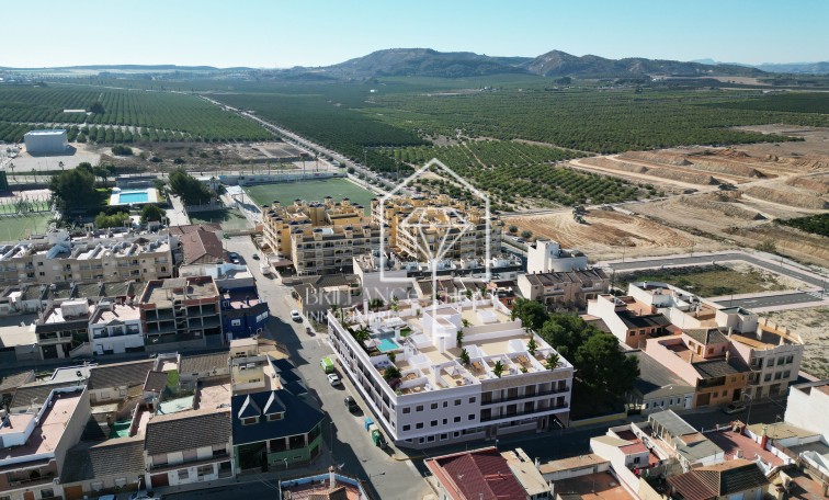 Obra nueva - Penthouses - Algorfa - 03169