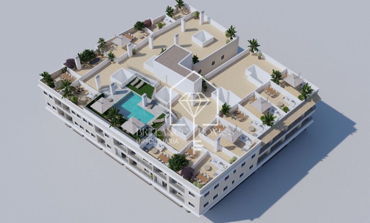 Obra nueva - Penthouses - Algorfa - 03169