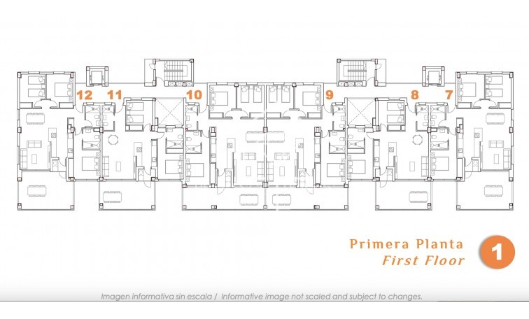 Obra nueva - Flats - San Miguel de Salinas - 03193