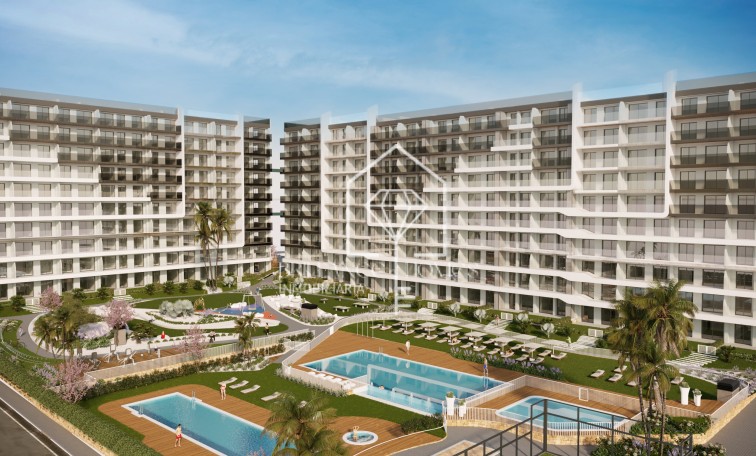 Obra nueva - Flats - Torrevieja - 03189